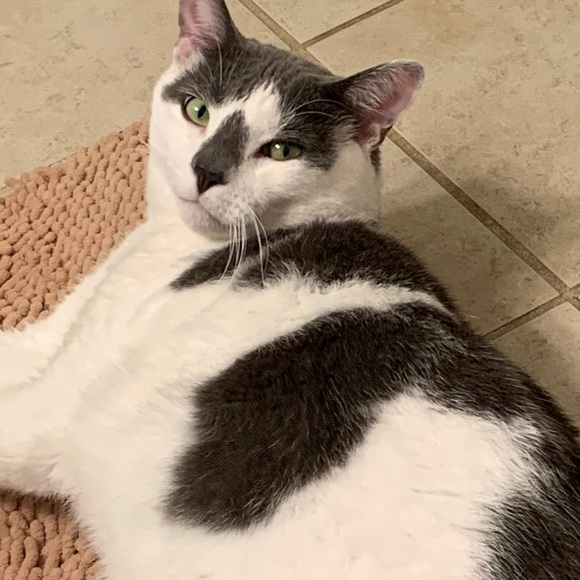 Meet your Posher, Tina - Picture 2 of 2